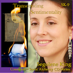 (image for) Transcending Sentimentality - SK9